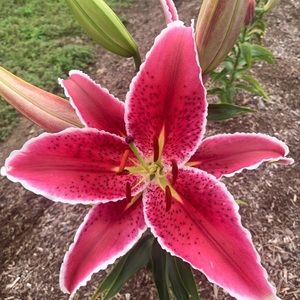 Here’s The Deal…